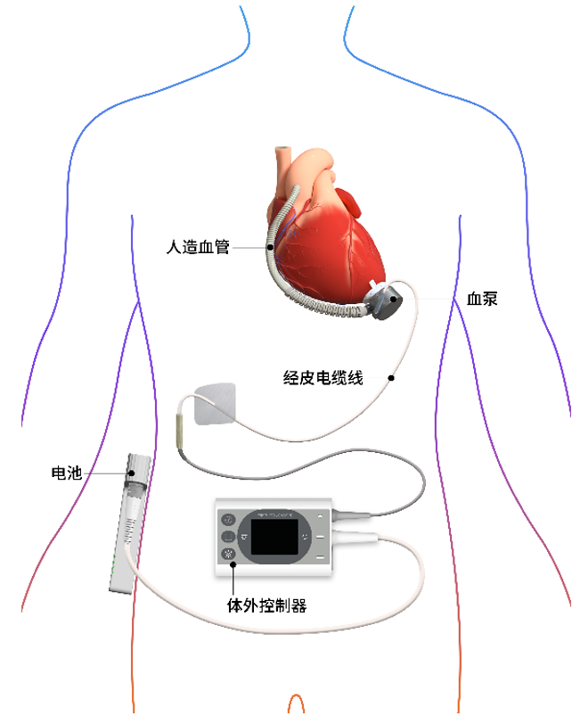 澳洲幸运5