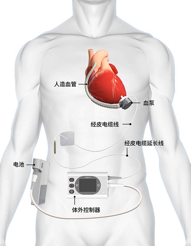 澳洲幸运5